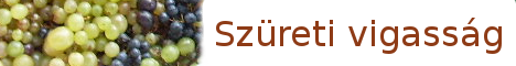 Szüreti vigasság, Vámos László táncházzal